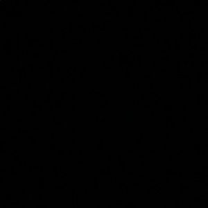 Meet your Posher, Luis